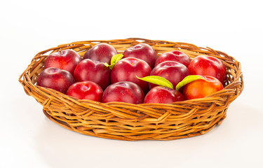Plums Fruit isolated on white background.