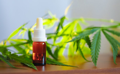 Cannabidiol CBD oil with a pipette on background of marijuana, hemp oil extracts in jar. Medical marijuana products including cannabis leaf, alternative medicine