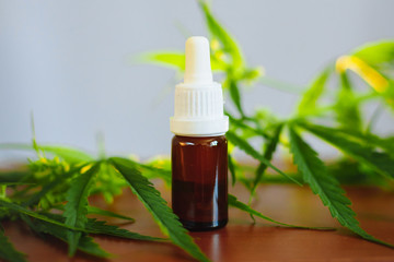 Cannabidiol CBD oil with a pipette on background of marijuana, hemp oil extracts in jar. Medical marijuana products including cannabis leaf, alternative medicine