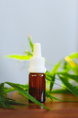 Cannabidiol CBD oil with a pipette on background of marijuana, hemp oil extracts in jar. Medical marijuana products including cannabis leaf, alternative medicine