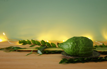 Jewish festival of Sukkot. Traditional symbols (The four species): Etrog, lulav, hadas, arava