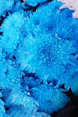 Blue flowers pattern for Background.