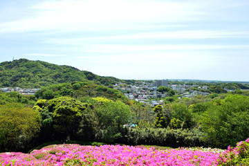 太田和つつじの丘　横須賀市太田和　日本