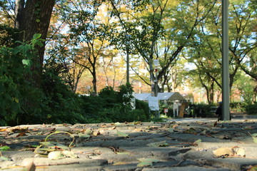 秋の大阪・靭公園