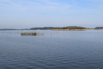 牛久沼（うしくぬま）／ 牛久沼は小規模な漁業のほか、その水は主に農業用水として活用されています。また、週末などは多くの釣り人たちで賑わっています。沼に近い牛久市と同じ名前ですが、全域が龍ケ崎市の区域内です。