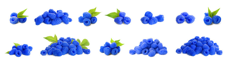 Set of fresh sweet blue raspberries on white background. Banner design