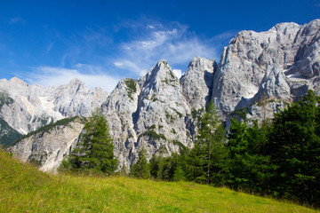 Fototapeta premium Summer in the Triglav National Park, Slovenia