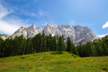 Fototapeta na wymiar Summer in the Triglav National Park, Slovenia