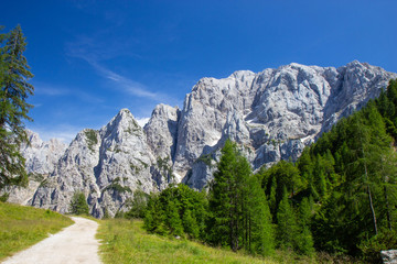 Fototapeta na wymiar Summer in the Triglav National Park, Slovenia