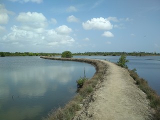 bridge over the river