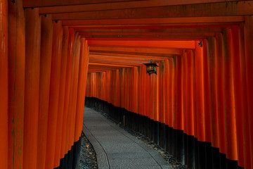 Orange Torii gates of Fushimi Inari Taisha, Kyoto, Japan