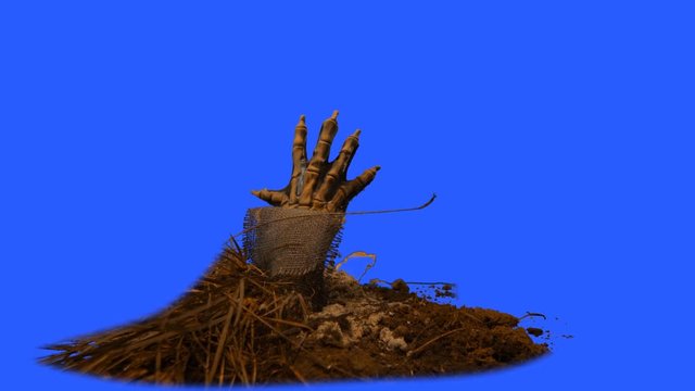 Zombie hand emerging from the grave