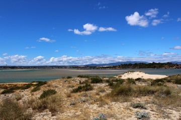 Réserve naturelle d'Alvor au Portugal dans les marais