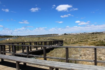 Réserve naturelle d'Alvor au Portugal dans les marais