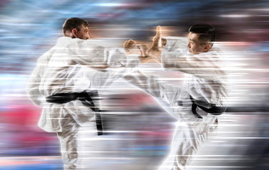 Two martial arts masters, karate practice