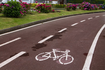 Obraz premium bike lane signal, ecological transport