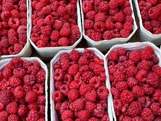 Raspberry Full Frame Texture