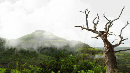Mountain and cloud during rain