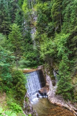 Foto op Canvas Waterfall in the mountain river © Petar