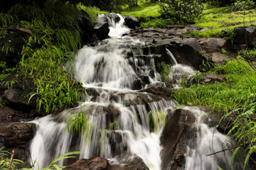 Beautiful waterfall in jungle
