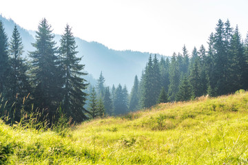 Beautiful dramatic sunset in the mountains. Landscape with sun light shining through orange clouds