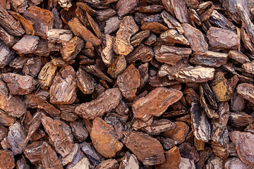 background pieces of bark design basis natural wooden chips dark brown pattern base