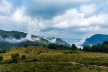 Fototapeta na wymiar Foggy morning panorama of mountains valley. Splendid summer sunrise in Rhodope mountains, Bulgaria, Europe. Beauty of nature concept background.