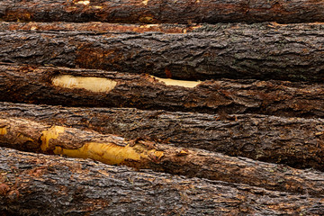 tree trunk brown bark stack of logs background rustic eco horizontal stiff base web design