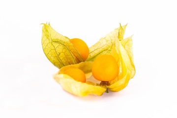 three yellow mature physalis sweet round on a white background, winter cherry yellow