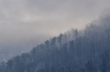 Nebel im Winter auf der Schwäbischen Alb