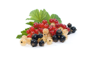 berries of red, black and white currant on a white background