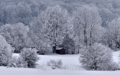 Waldrand im Winter auf der  Schwäbische Alb