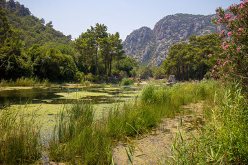 Olympos Ancient City Antalya Turkey