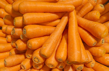 Background of organic carrots. use for backdrop or design