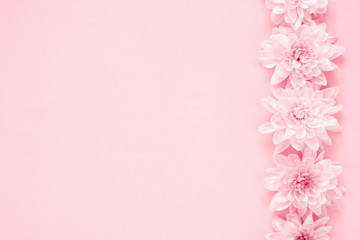 Fototapeta premium Beautiful flowers composition. Pink flowers on pastel pink background. Valentines Day, Easter, Happy Women's Day, Mother's day. Flat lay, top view, copy space