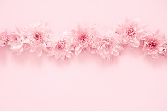 Beautiful flowers composition. Pink flowers on pastel pink background. Valentines Day, Easter, Happy Women's Day, Mother's day. Flat lay, top view, copy space