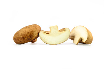 fresh mushroom on white background