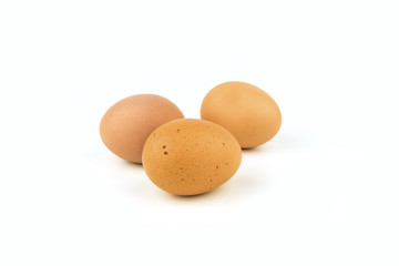 group of chicken egg