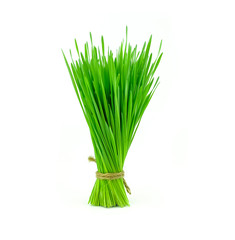 bunch of wheat grass