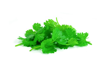 pile of coriander leaf