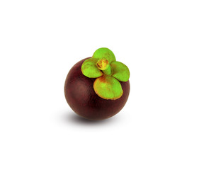 single purple mangosteen on white background
