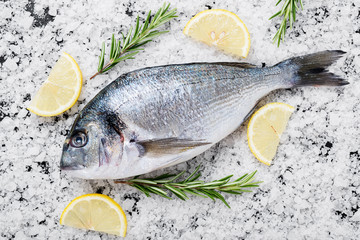 Raw fresh organic dorado or sea bream on sea salt on black stone  background.
