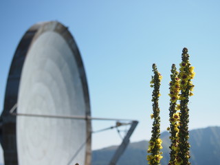 antenna
