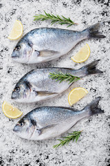 Raw fresh organic dorado or sea bream on sea salt on black stone  background.