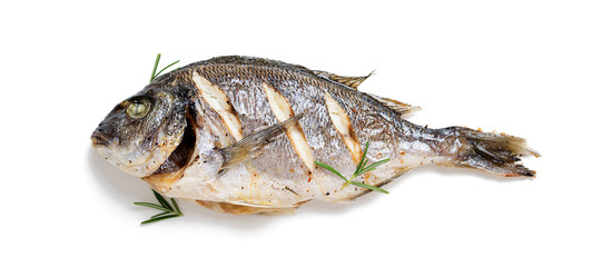 Baked fish dorado. Sea bream or dorada fish grilled. isolated on white background