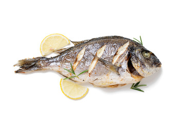 Baked fish dorado. Sea bream or dorada fish grilled. isolated on white background