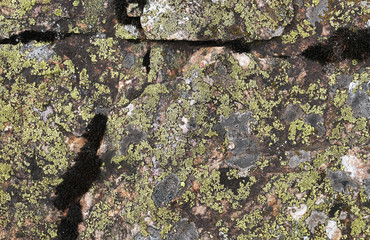 Stone texture with moss and lichen