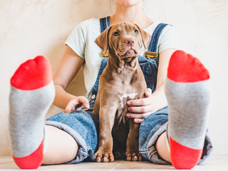 Beautiful woman and young, charming puppy. Closeup, white isolated background. Studio photo....