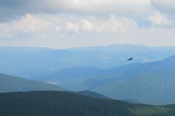 Panoramic view from Hoverla, Carpathian mountains, Ukraine. Horizontal outdoors shot
