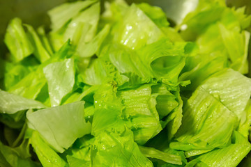 pattern green leaves lettuce piece a lot background vegetable base fresh design cooking natural...